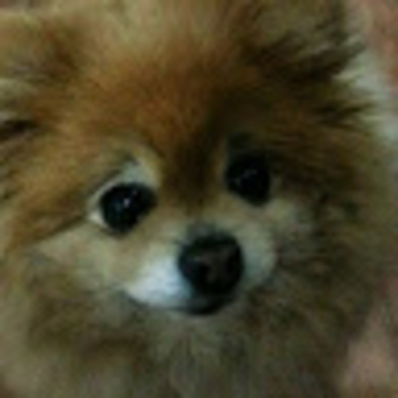 zyzy00000
